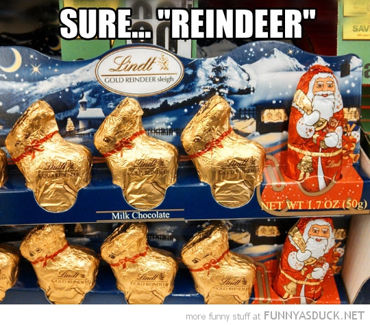 "Reindeer"