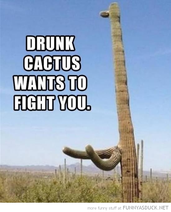 Drunk Cactus