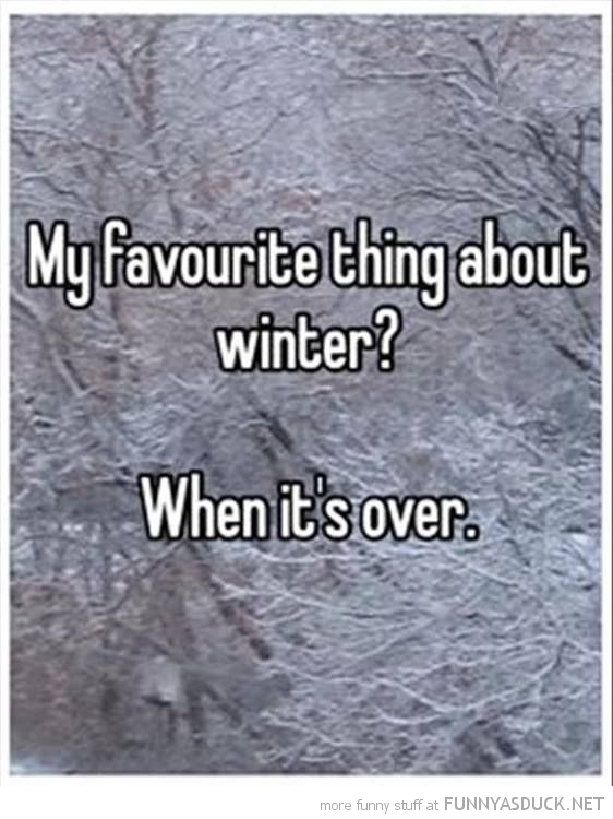 Favorite Thing About Winter