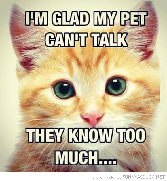 My Pet Can't Talk