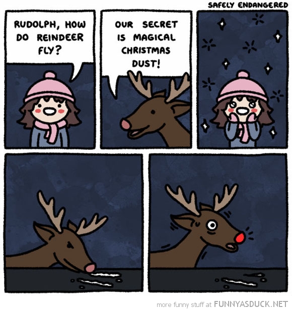 How Do Reindeer Fly?