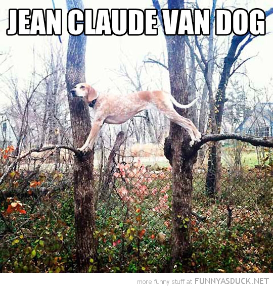 Jean Claude Van Dog