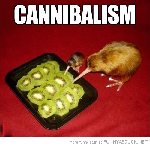 Cannibalism