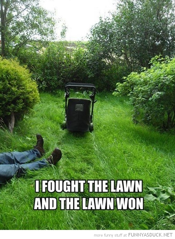 I Fought The Lawn