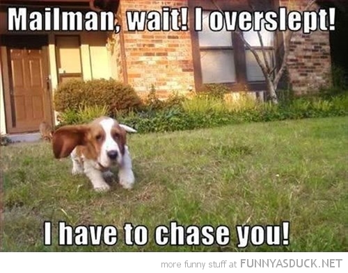 Mailman, Wait!