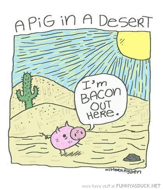 A Pig In The Desert
