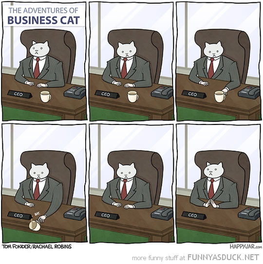 Business Cat