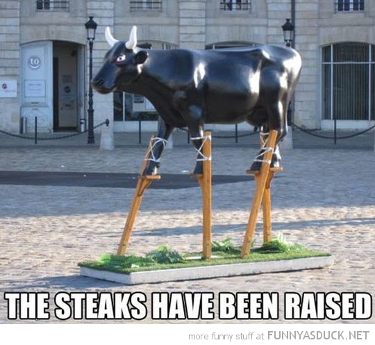 The Steaks...