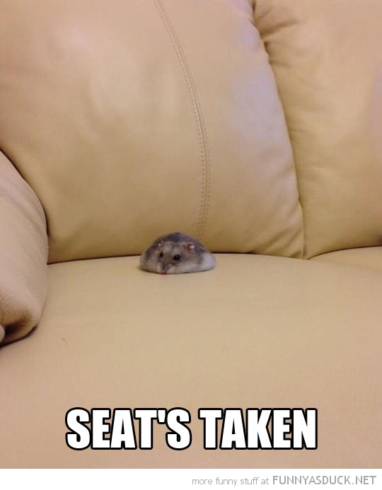 Seat's Taken