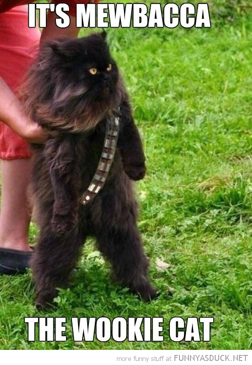 Mewbacca