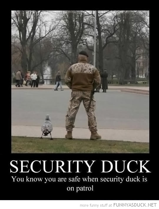 Security Duck