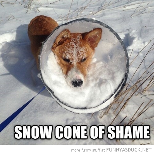 Snow Cone Of Shame