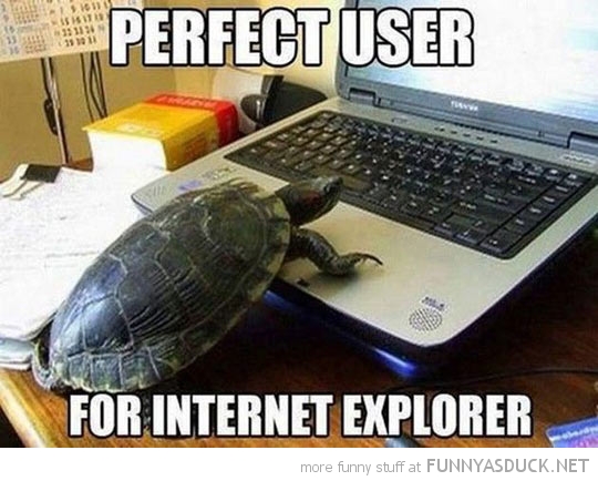 Perfect User