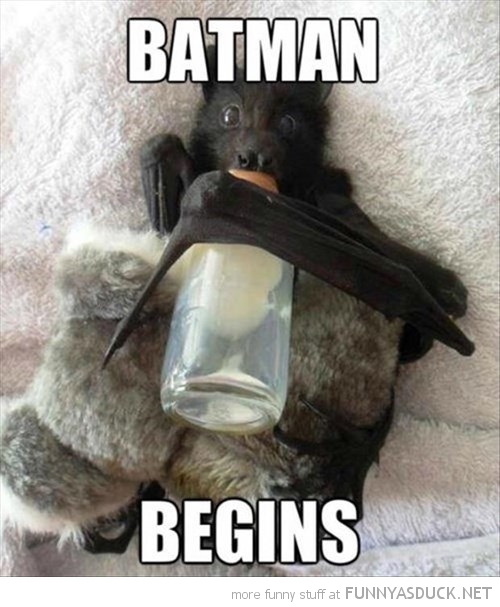 Batman Begins