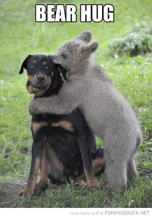 Bear Hug