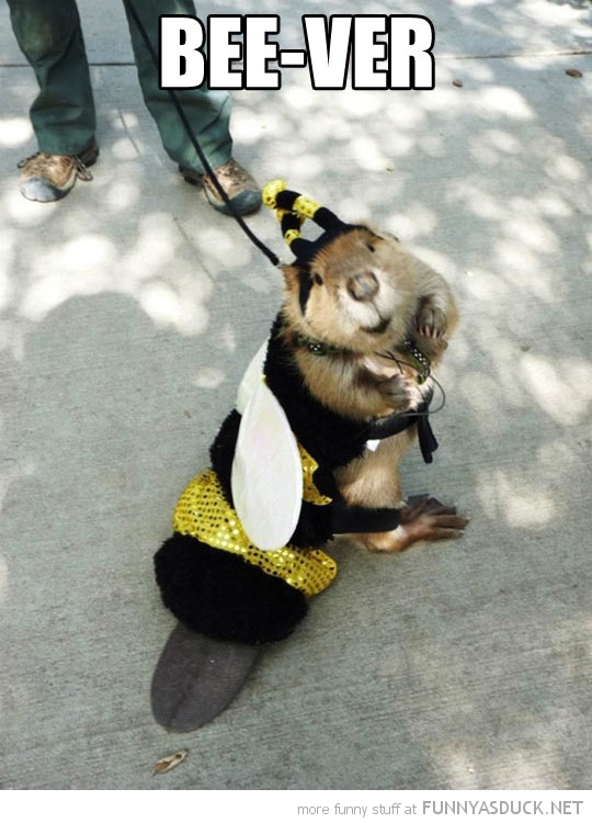 Bee-Ver