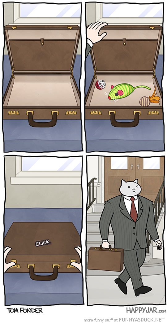 More Business Cat