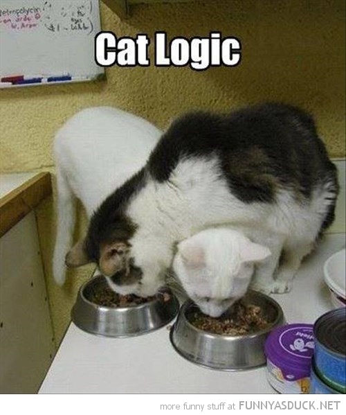 Cat Logic