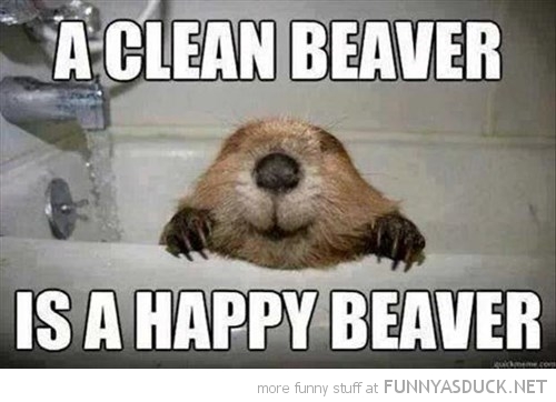 A Clean Beaver