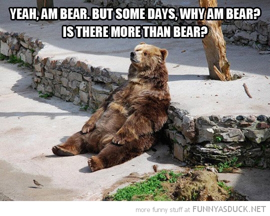 Contemplating Bear