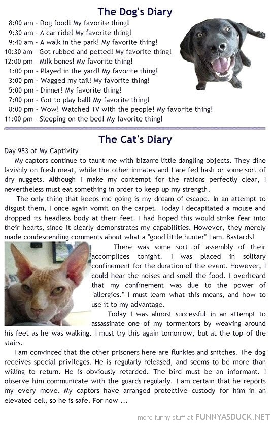 Dog &amp; Cat Diary
