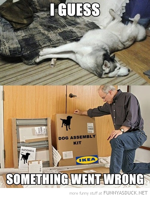 Dog Assembly Kit