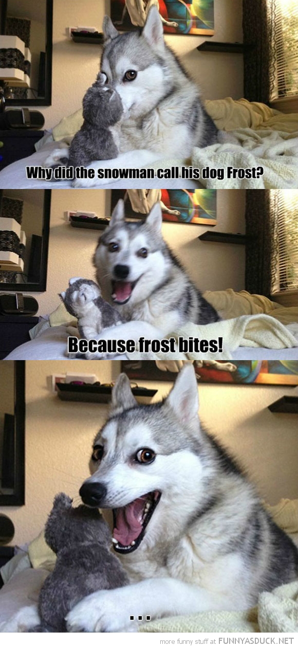 More Dog Jokes