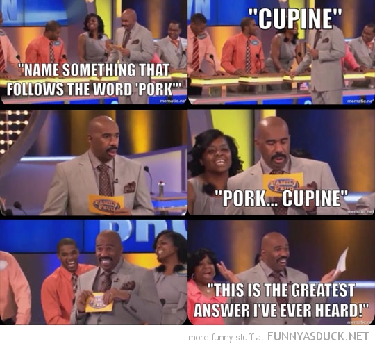 Pork...Cupine