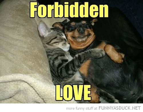 Forbidden Love