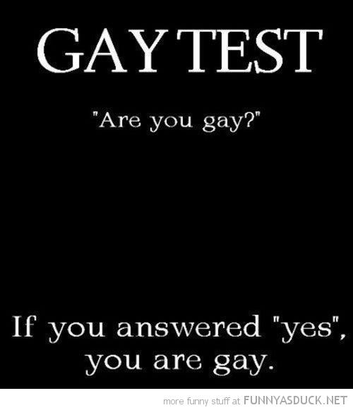 Gay Test