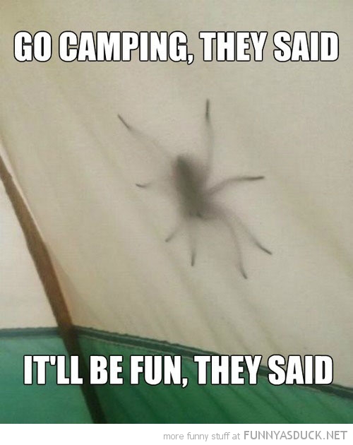 Go Camping