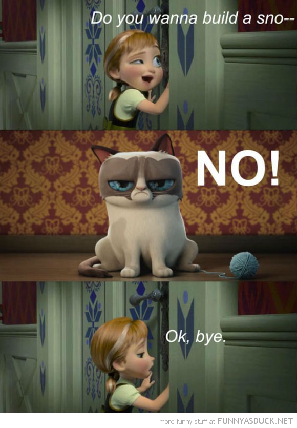 Grumpy Cat In Frozen