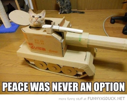 War Cat