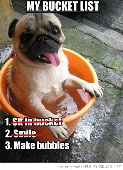 My Bucket List