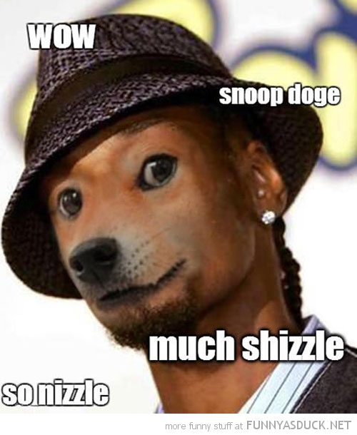 Snoop Doge