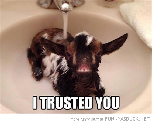 I Trusted You!