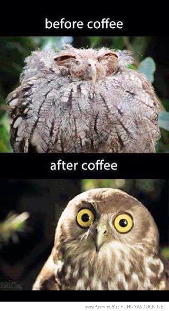Before &amp; After Coffee