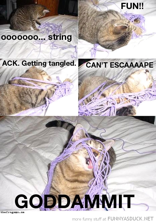 String!