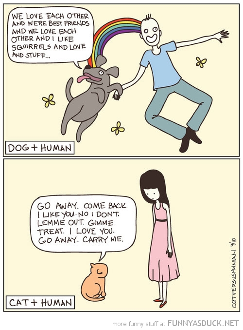 Cats &amp; Dogs