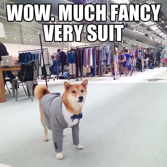 Fancy Doge