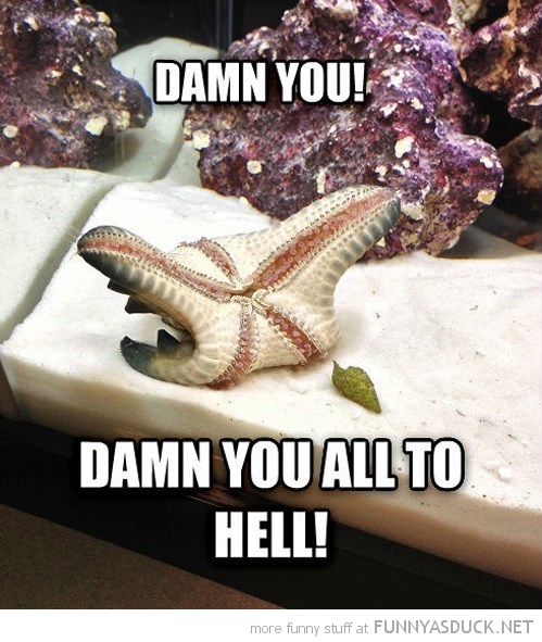 Dramatic Starfish