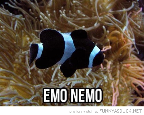 Emo Nemo