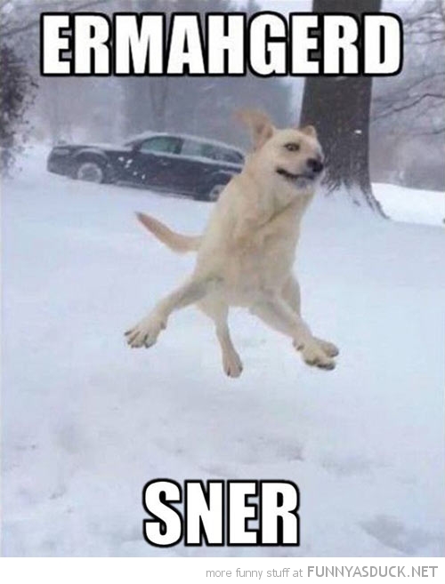 Ermahgerd Sner