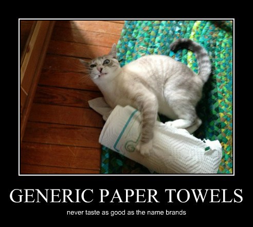 Generic Paper Towels