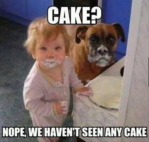 Cake?