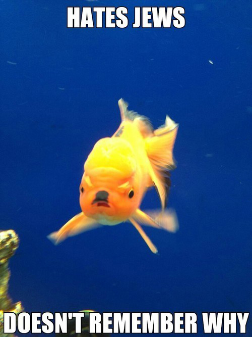 Hitler Fish