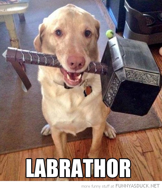 Labrathor