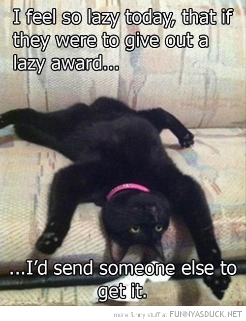 Lazy Award