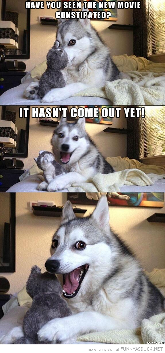 More Pun Dog