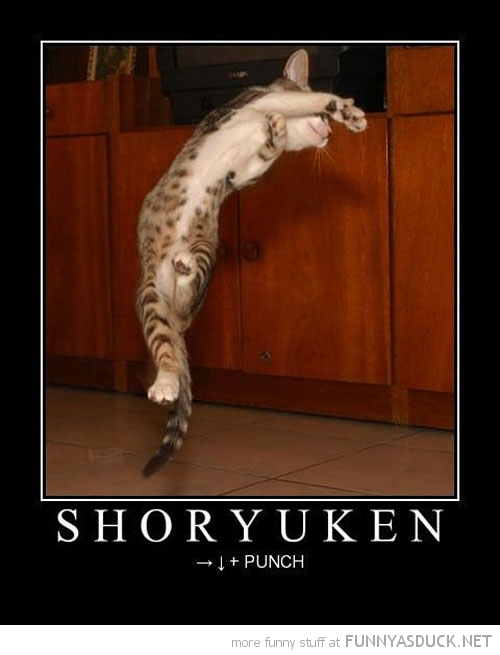 Shoryuken